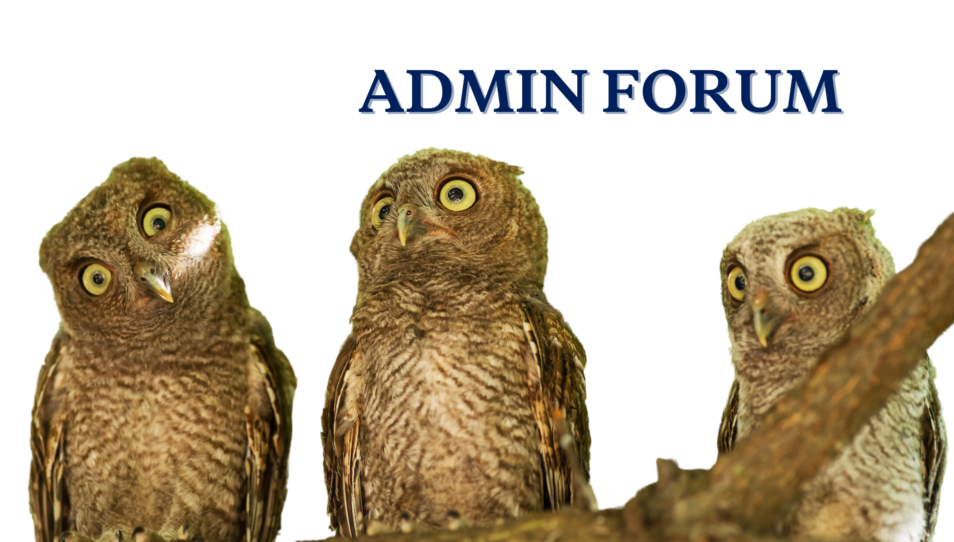 Admin Forum