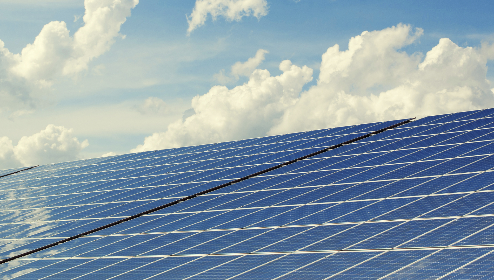 sustainability stops here