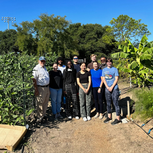 Students and staff gathered at the garden for a farm side cooking event 