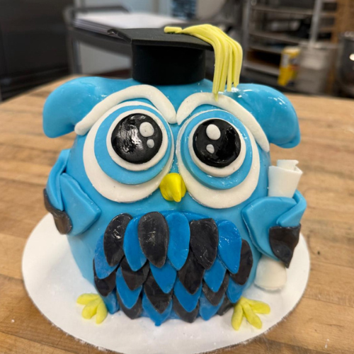 A cake decorated like an owl wearing a graduation cap and holding a diploma