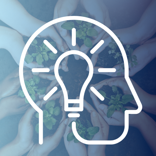 Hands holding small plants together