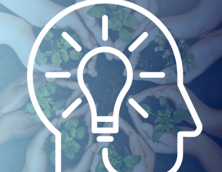 Hands holding small plants together